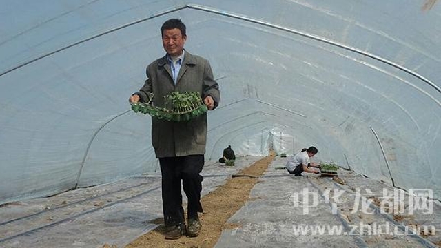 沈丘縣周營鎮(zhèn)無公害西瓜基地內瓜農(nóng)忙