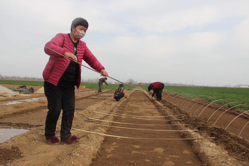 疫情防控、春耕生產(chǎn)兩手抓